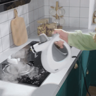 HomeVibe™ SteamPro